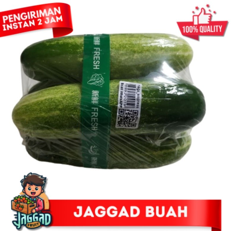 

Timun Muda Segar 1Kg | Mentimun | naga_exspress JAGGA FRUIT