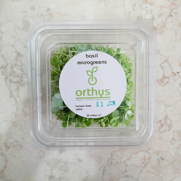 

Bisa COD Italian Basil Microgreens cut fresh 15 gram