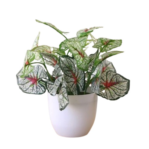 (NSA) Bunga Artificial Besar Pot Tanaman Plastik Hias Daun Rambat Monstera Tawon Kering Murah