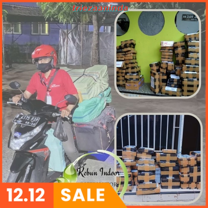 Pupuk NPK Lengkap Padi, PUPUK Cair Untuk Memperbanyak Anakan Padi