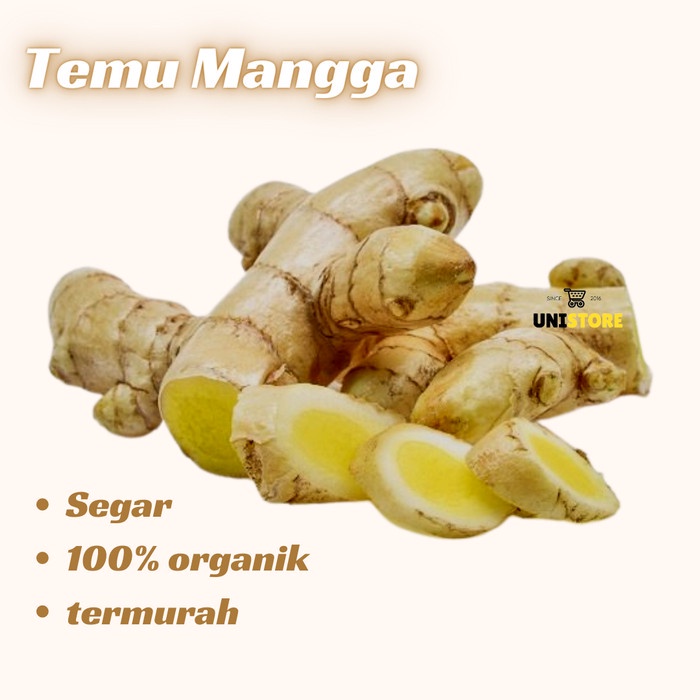 

Temu Mangga Segar - kunyit putih mangga - 500 gram