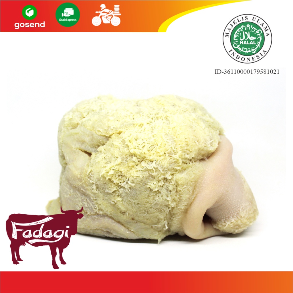 

Babat Putih Sapi - 1 Kg