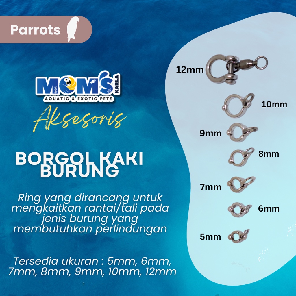 BORGOL BURUNG  8mm