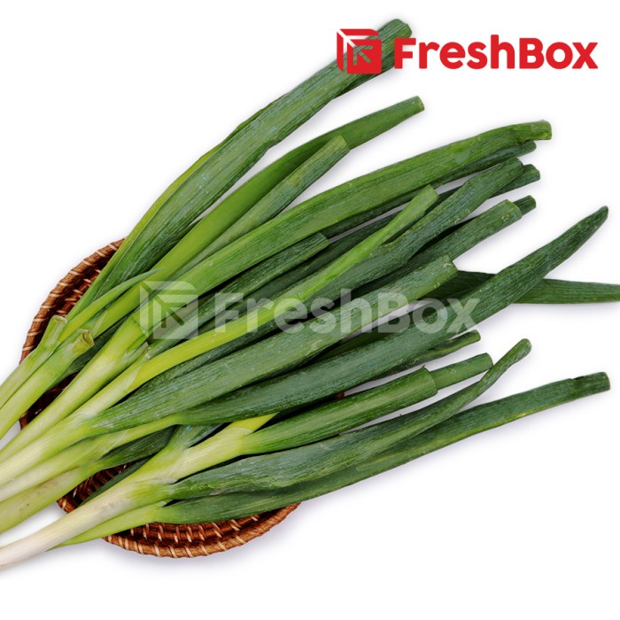 

Daun Bawang Besar 500 gr
