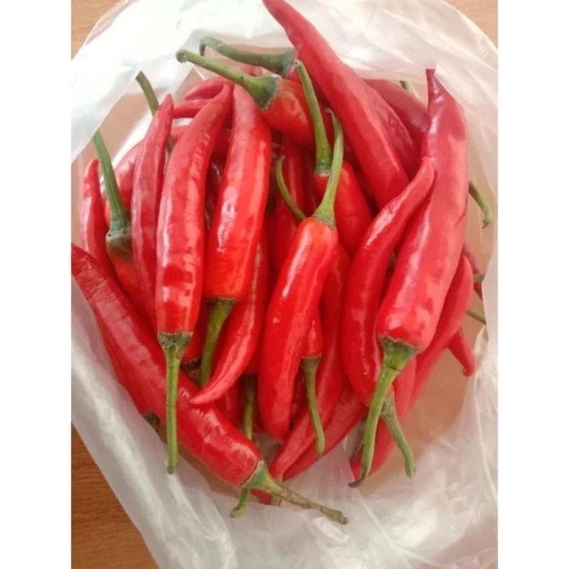 100 BENIH BIJI CABE RAWIT MERAH BESAR SUPER