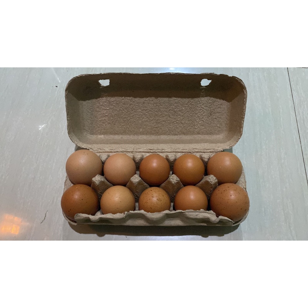 

Telur omega