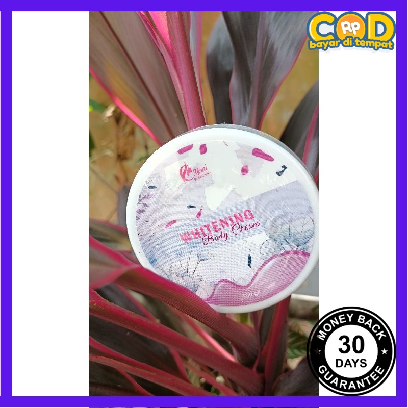 [TGA] body bleaching Yoniskincare