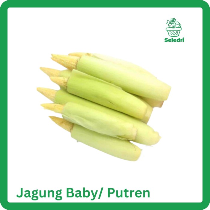 

Jagung baby Jagung putren segar