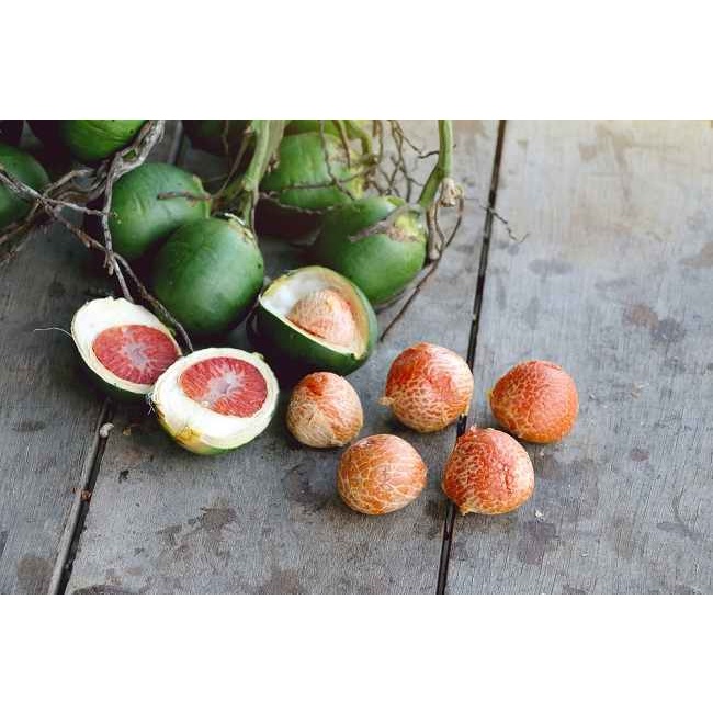 

New Promo Buah Pinang Atau Jambe Tua segar 1kg fresh