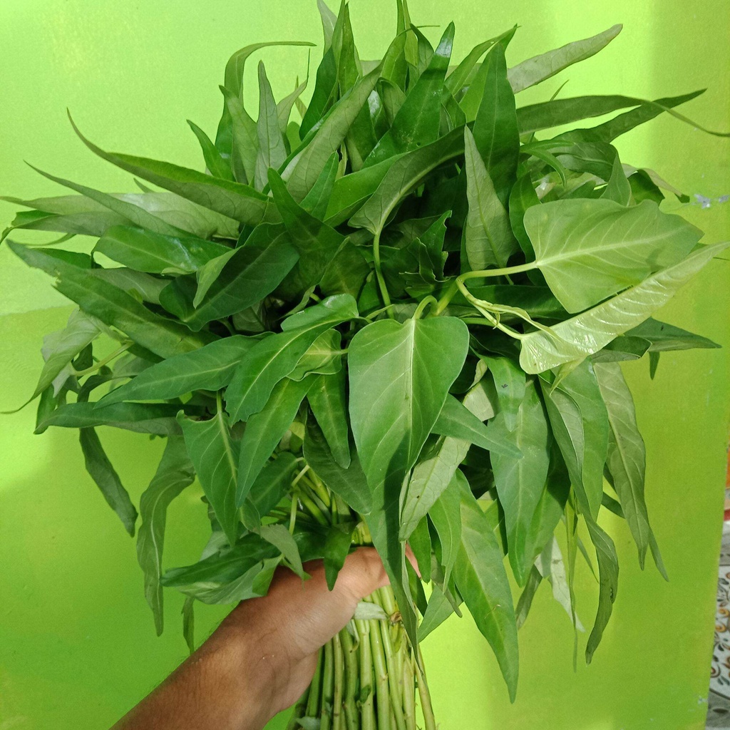 Sayur kangkung /kangkung segar 1 ikat