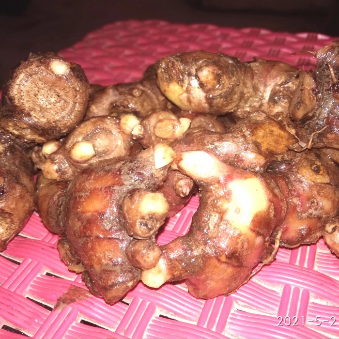 

JAHE MERAH BERSIH 1KG