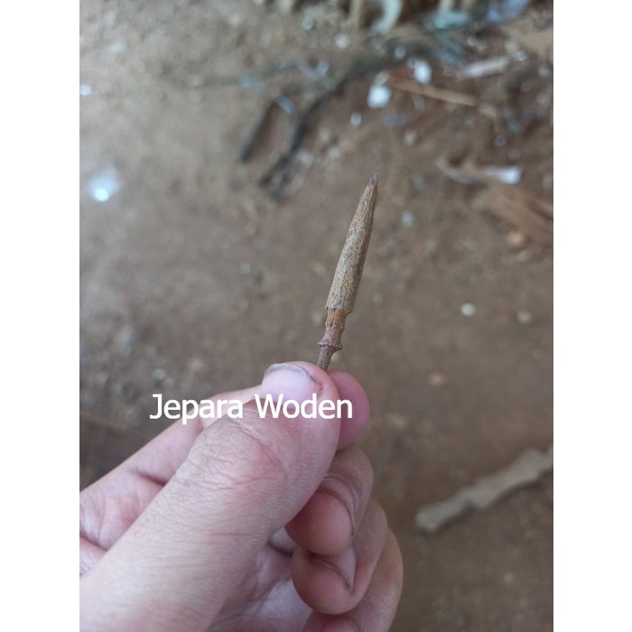 ajimat kembang kantil sepuh majapahit bk meggantara sengkelat lar mang murah meriah JW1234