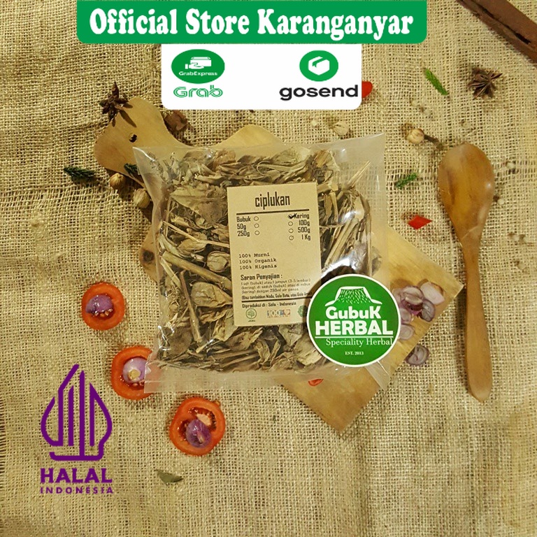 

CIPLUKAN CEPLUKAN KERING 50 GRAM / Physalis Angulata / JAMINAN MURNI / DIPETIK DARI TUMBUHAN SEGAR & DIKERINGKAN DI TEMPAT BERSIH