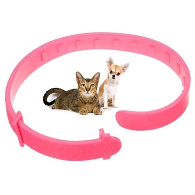 Kalung Kutu Kucing anti kutu ampuh