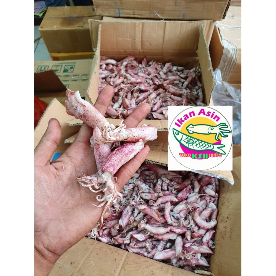 

[TERMURAH] aneka ikan asin cumi - cumi,sdang-500g