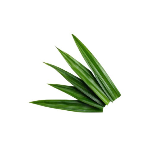 

Promo DAUN PANDAN WANGI PERLEMBAR!! Murah