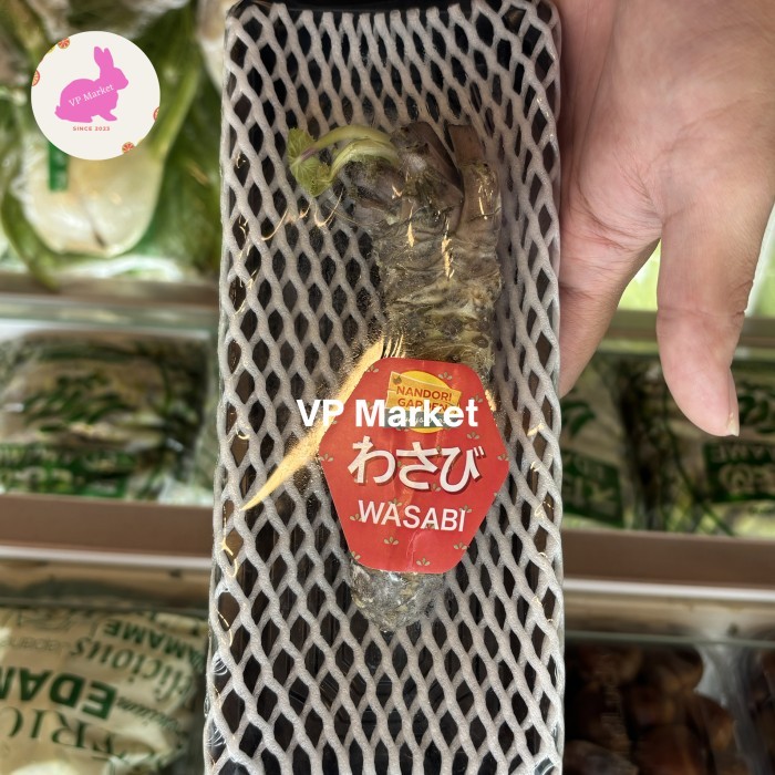 

Wasabi Root Batang Jepang Fresh | Wasabi Utuh Fresh | Pack