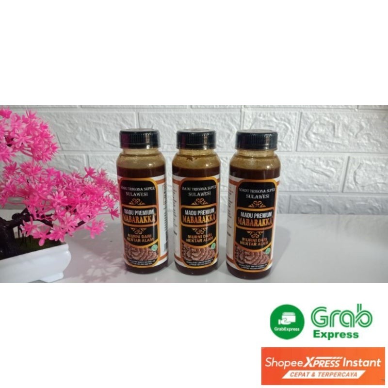 

Madu Trigona Mabarakka (MTM)