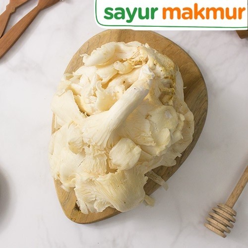 

Jamur Tiram Konvensional 300 gram Sayurmakmur