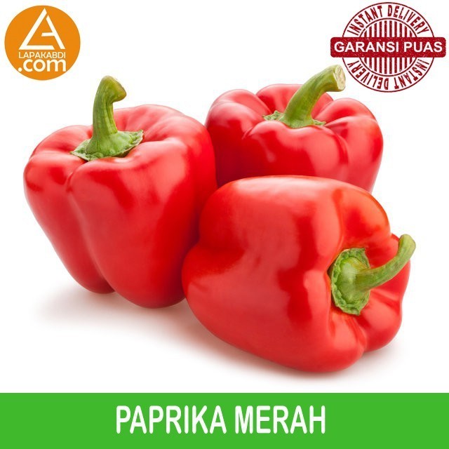 

Paprika Merah 500gr Sayur Segar Garansi Termurah