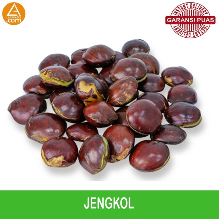 

Jengkol 500gr Sayur Segar Garansi Termurah