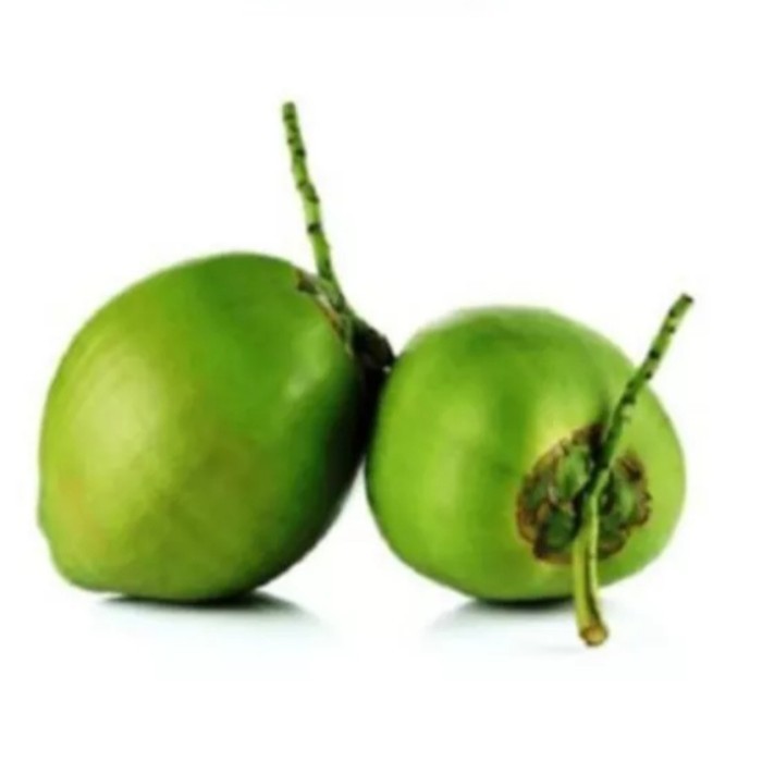

Kelapa Hijau Asli Kelapa Hijau Segar Per 1buah
