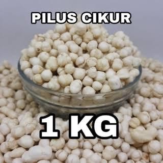 

PILUS CIKUR RASA KENCUR 1KG Kering