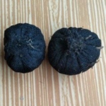 media wabikusa aquascape media tanam Wabikusa mix