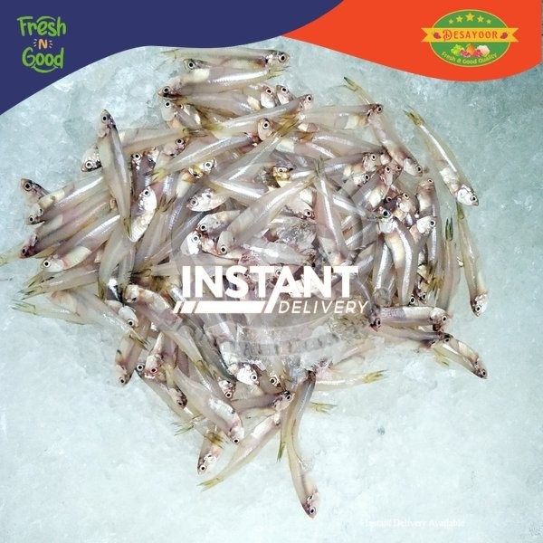 

DE SAYOOR FRESH - TERI BASAH GOOD QUALITY 500GR