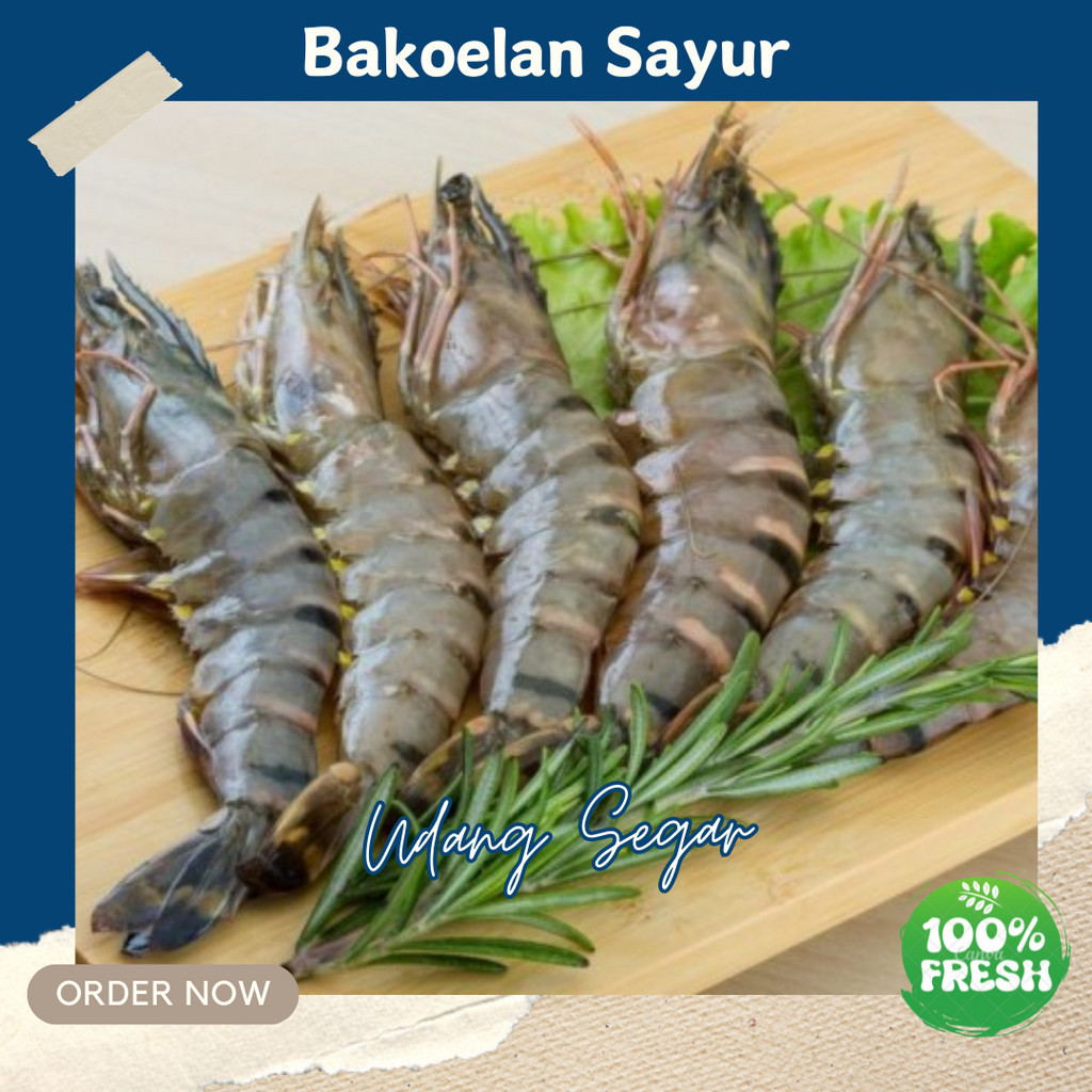 

KUNEKA UDANG SEGAR 250GR PROMO FRESH TERMURAH TERLARIS BEST SELLER BEST PRODUCT