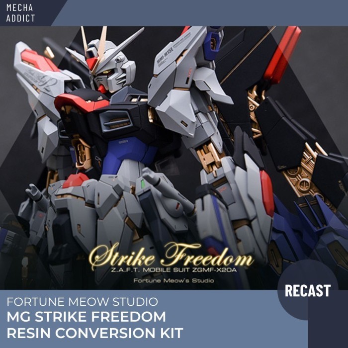 MG Freedom Gundam Resin Conversion Kit by Fortune Meow Recast - Ready