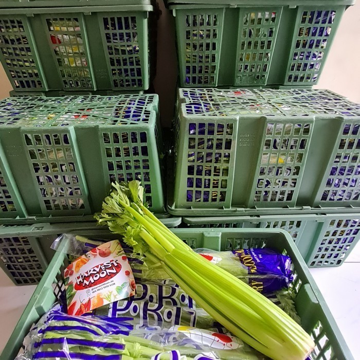 

HarvestMoon Celery Stick Per kg - RRC