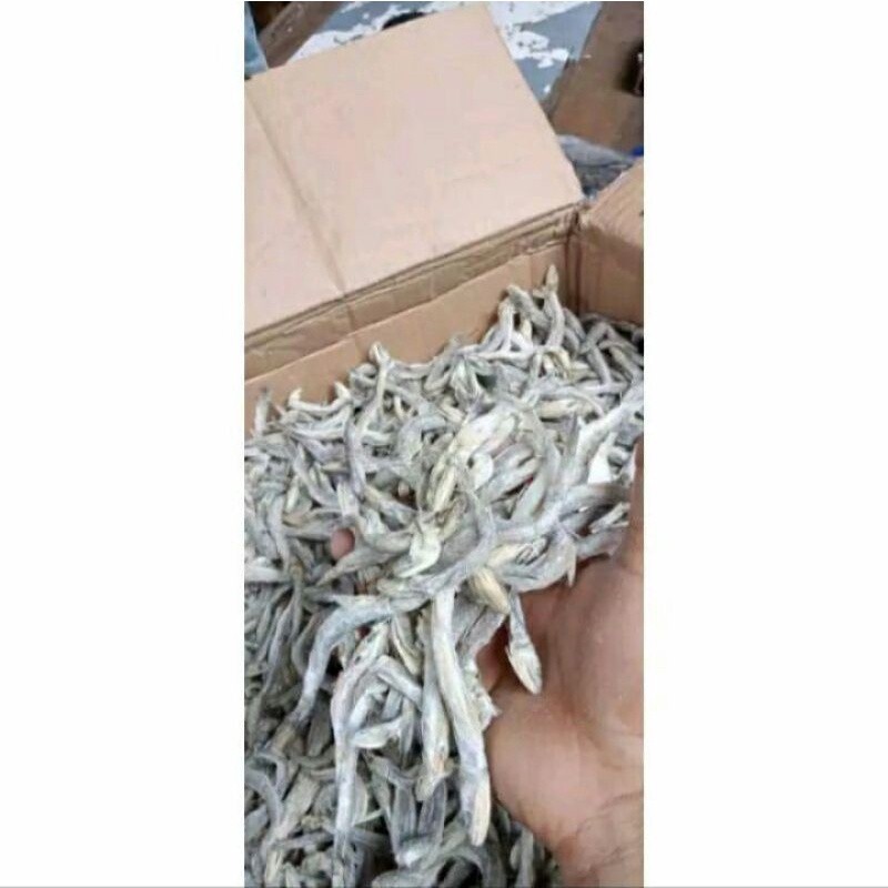 

Ikan asin kacang kacangan 1kg "Ikan Asin Kacang-kacangan: Rasanya Menggoda dalam Kemasan 1kg!