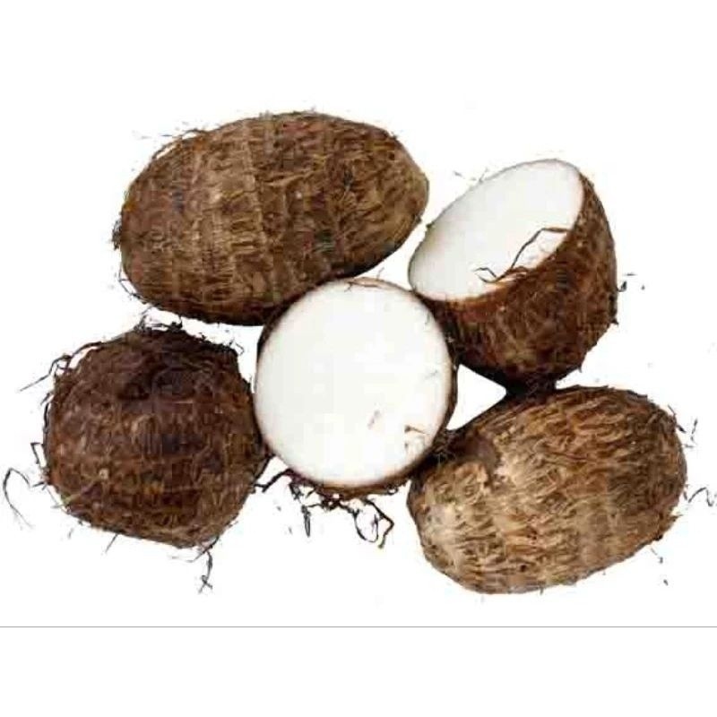 

Umbi Talas | Kimpul | 500 gram