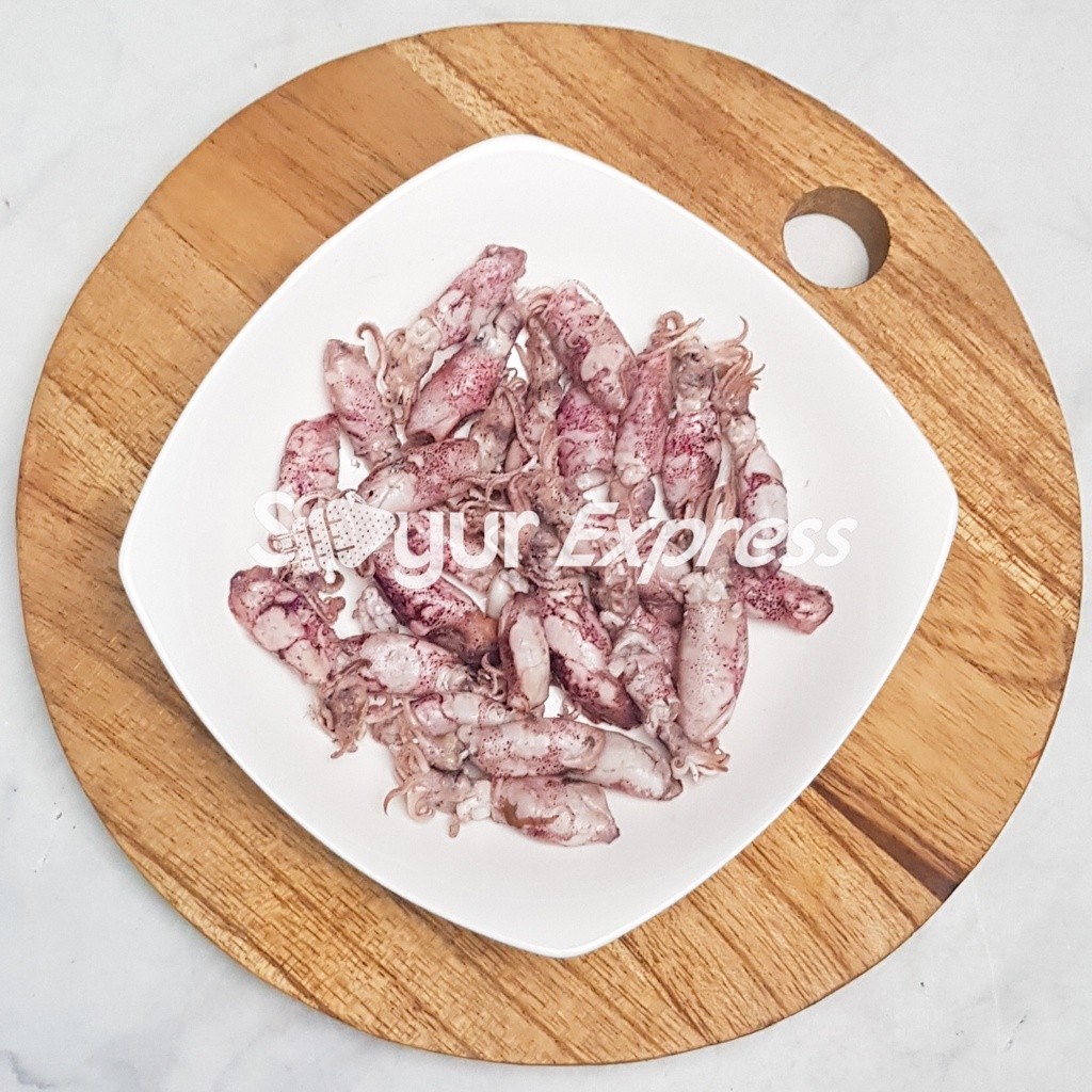 

Syegar Fresh Cumi Asin 100gr