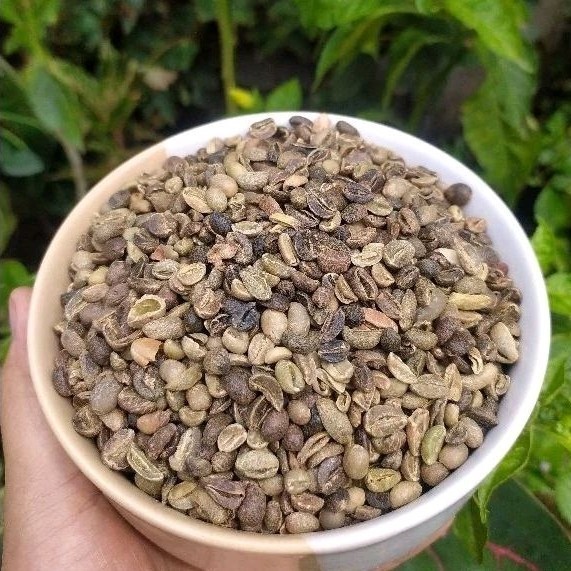

1 Kg Bji Kopi AFKIR Arabica Gunung Kawi Green bean / Kopi Mentah AMJ FARM