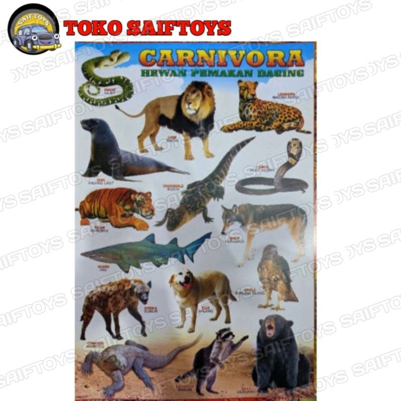

POSTER HEWAN EDUKASI ANAK HERBIVORA/OMNIVORA/KARNIVORA