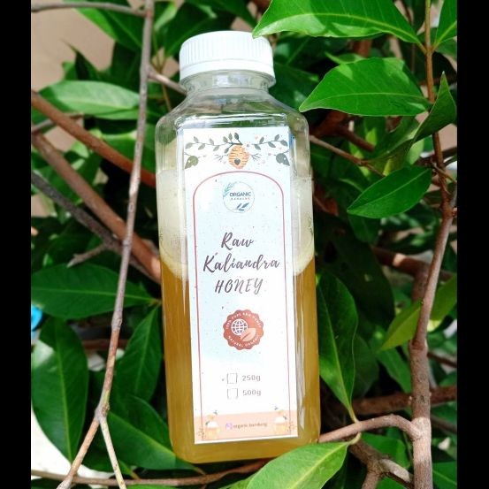 

Classica2106 Organic Bandung Kaliandra Raw Honey 500G Madu Murni Madu Kaliandra Madu Mentah