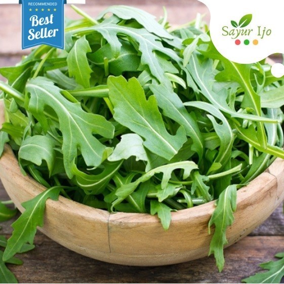 

Arugula Wild Rocket Hidroponik 100 Gr / Pack Fresh Sayur Hydro Segar