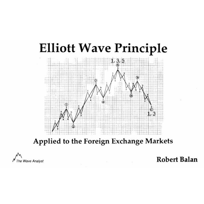 

Elliott Wave Principle, Balan Robert
