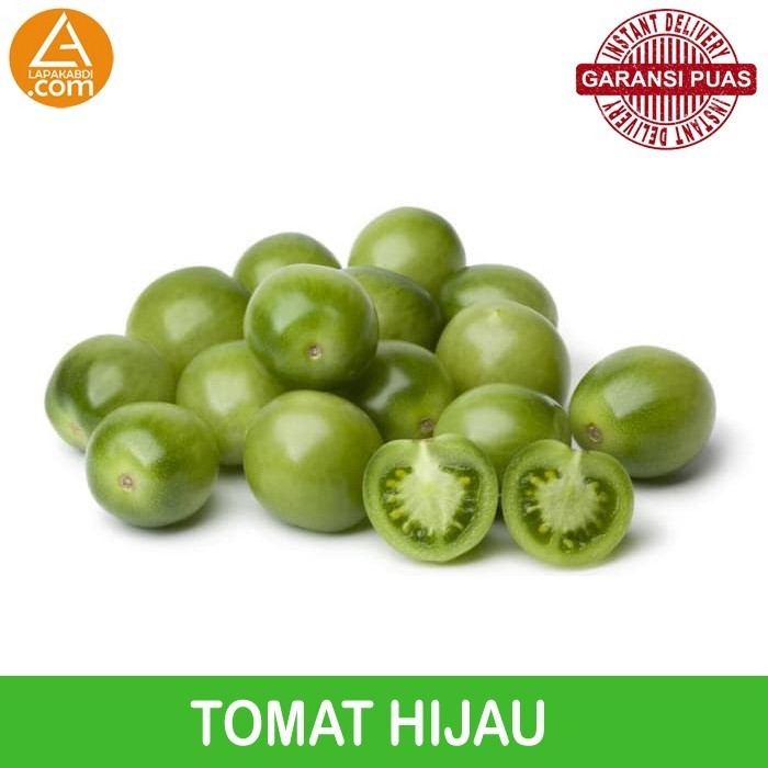 

Tomat Hijau 500gr Sayur Segar Garansi Termurah