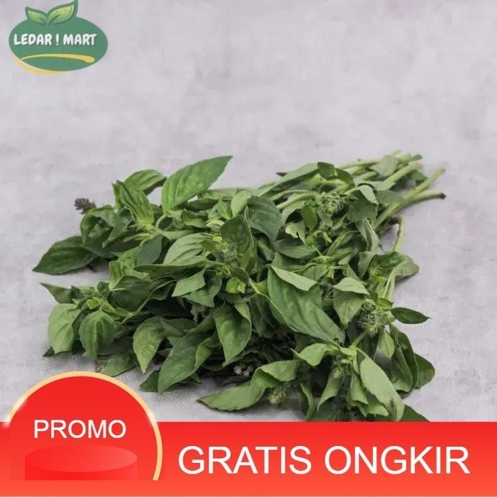 

Daun Kemangi Segar Organik Ikat / Daun Kemangi Organik