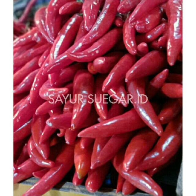 

Cabe merah besar /250gram
