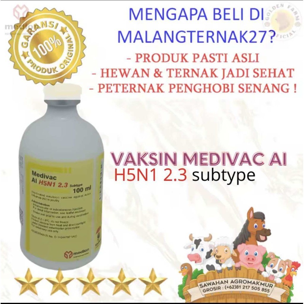 VAKSIN flu burung MEDIVAC AI KILLED Vaksin Ayam Bebek Unggas Tetelo Flu Burung