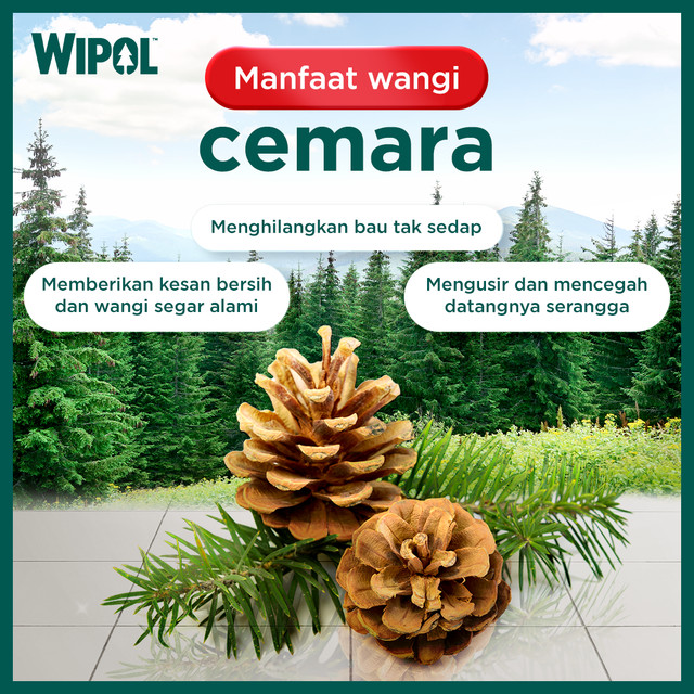 Wipol Pembersih Lantai Cairan Disinfektan Teruji Dermatologis Karbol Cemara 1500 mL x 6