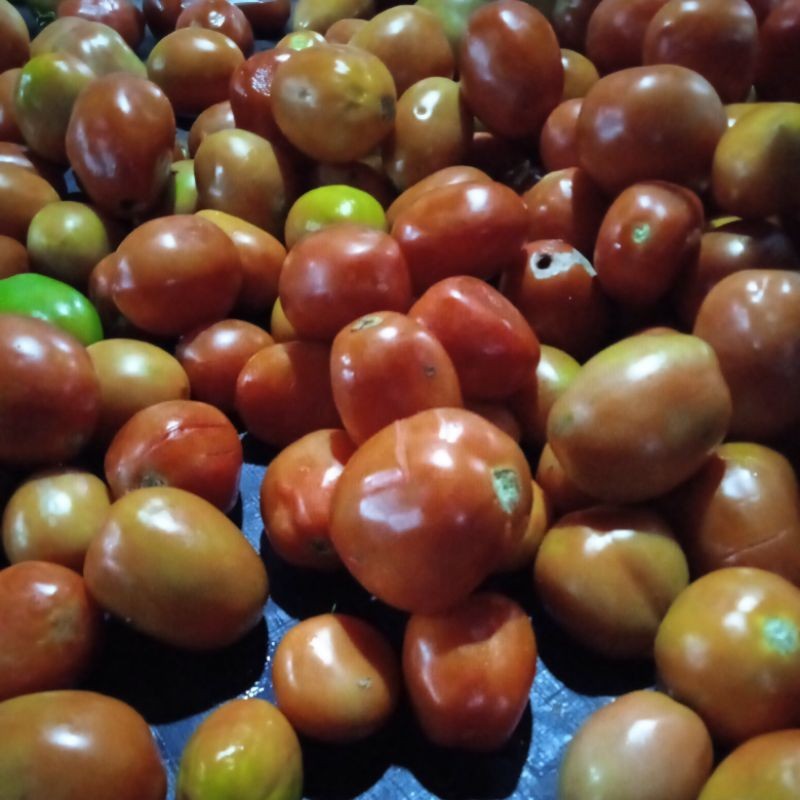 

Tomat Merah BESAR 250gr