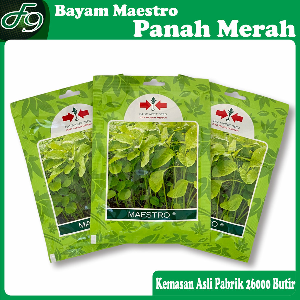 Benih bibit bayam hijau maestro 26000 butir cap panah merah biji bayem ijo cabut potong petik