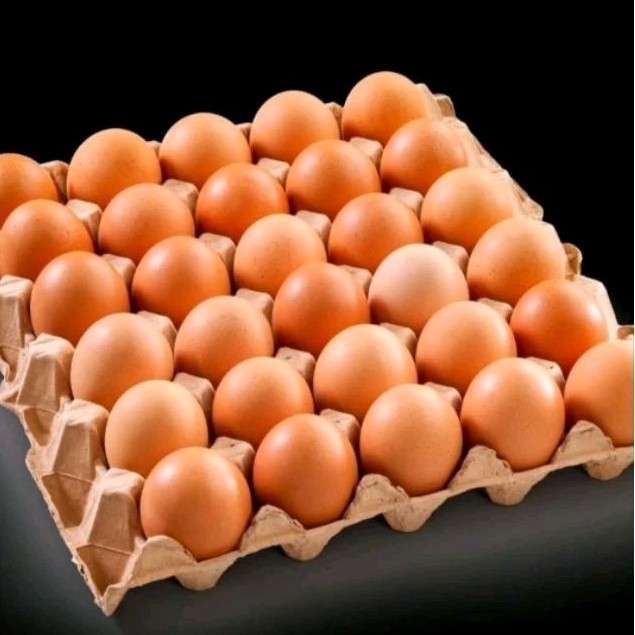 

Telur Ayam Negri 30 butir