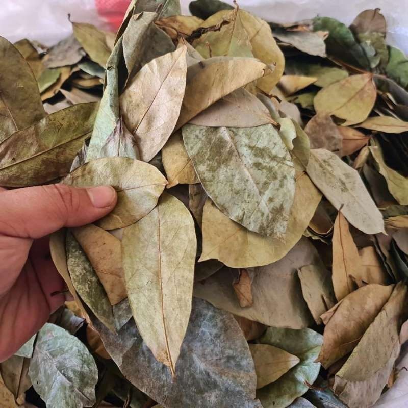 

DAUN SIRSAK KERING 100 LEMBAR