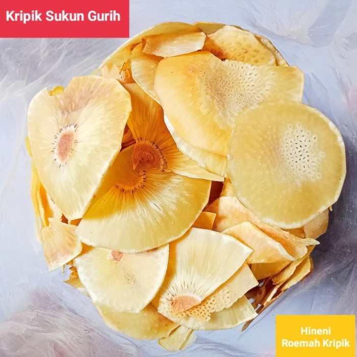 

Sale KRIPIK SUKUN ORIGINAL ASIN RENYAH DAN GURIH 500GR